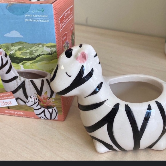 Zebra planter - Picture 3 of 3
